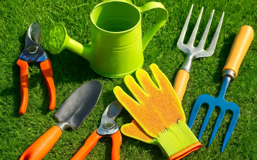 Top Essential Garden Tools and Equipment Names to Boost Your Gardening Success
