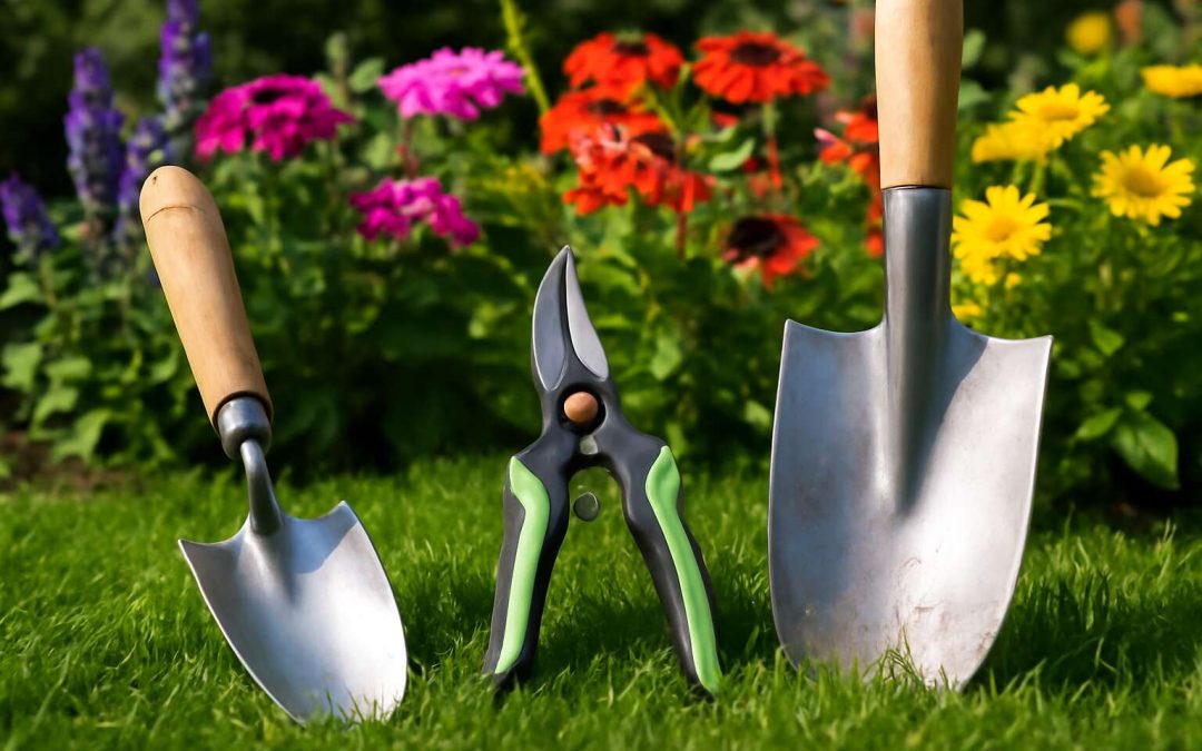 best garden tools near me