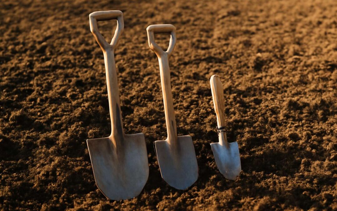 Top picks: garden tools for digging that make planting a breeze