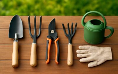Get growing with garden tools guide: essential gear and tips for a thriving garden